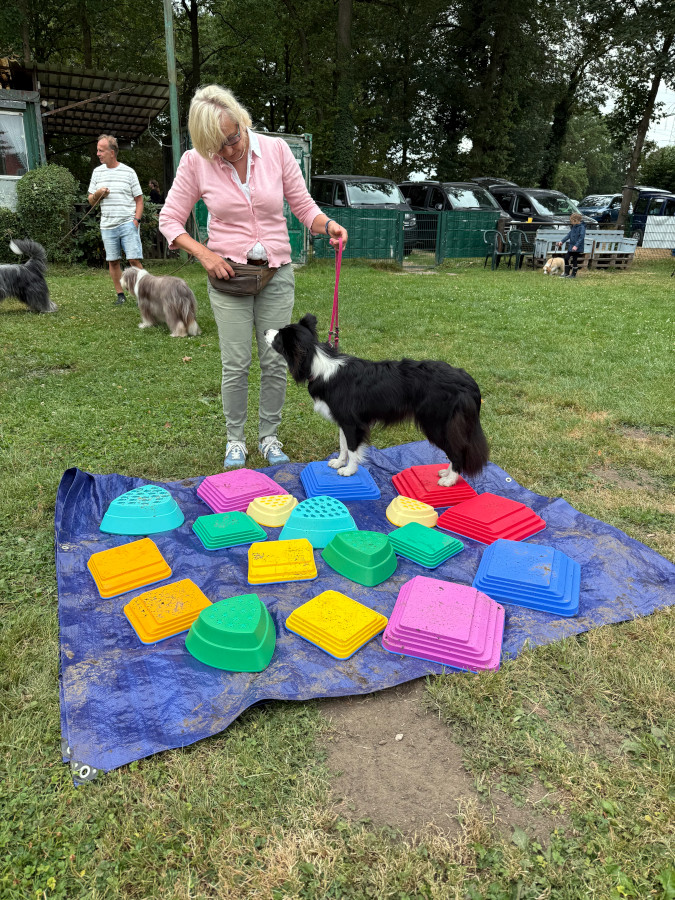 Sommerfest26_005.jpg