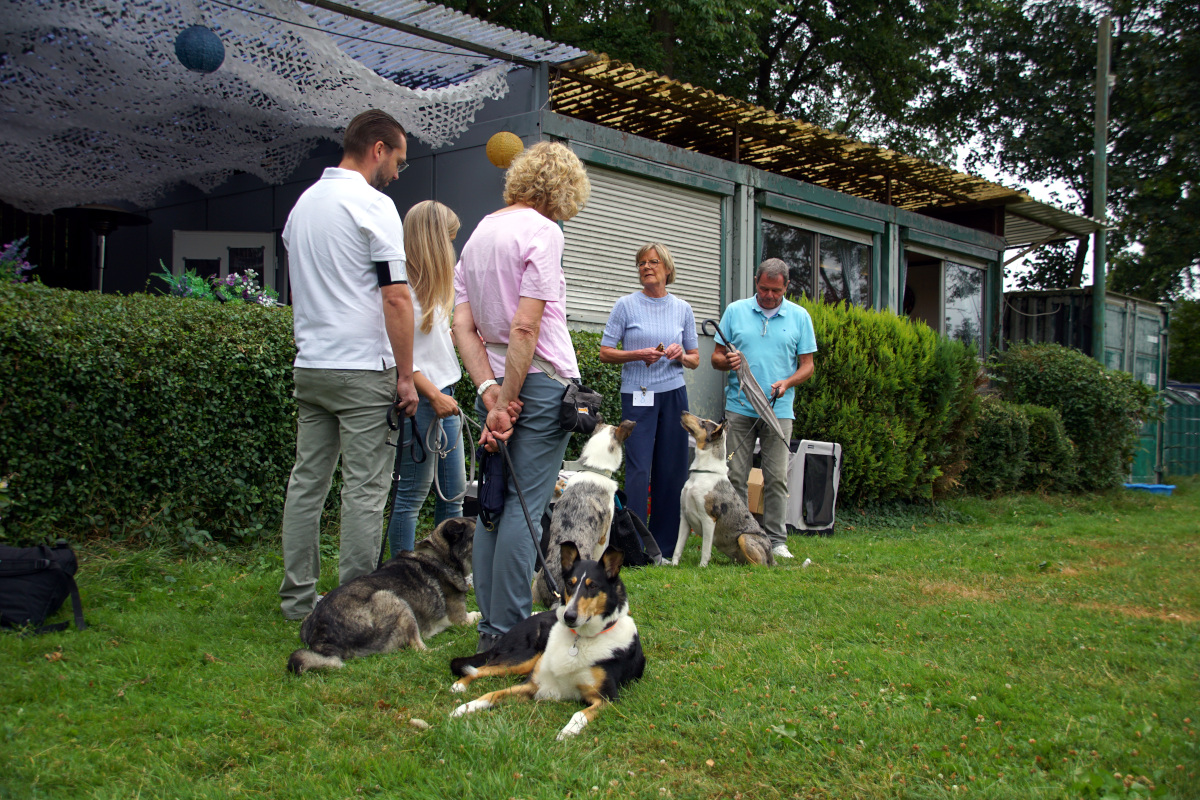 Sommerfest26_009.jpg