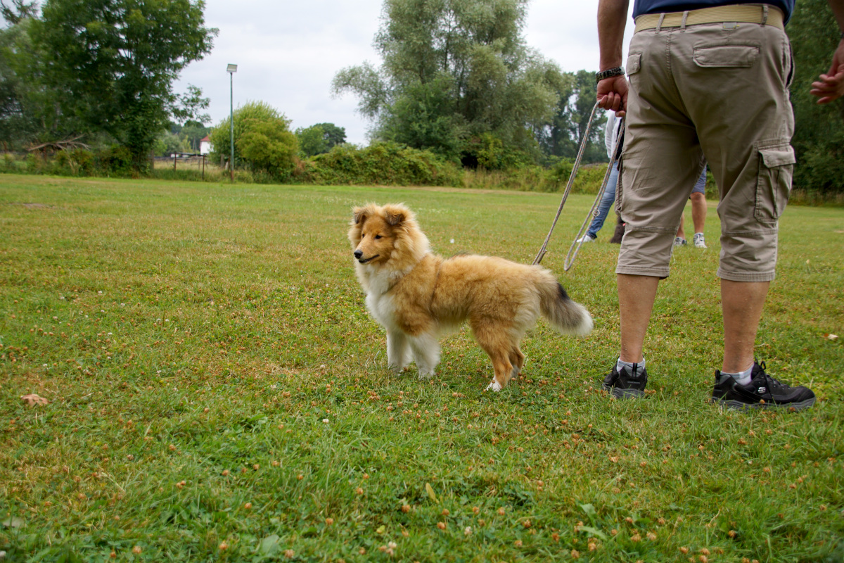 Sommerfest26_024.jpg