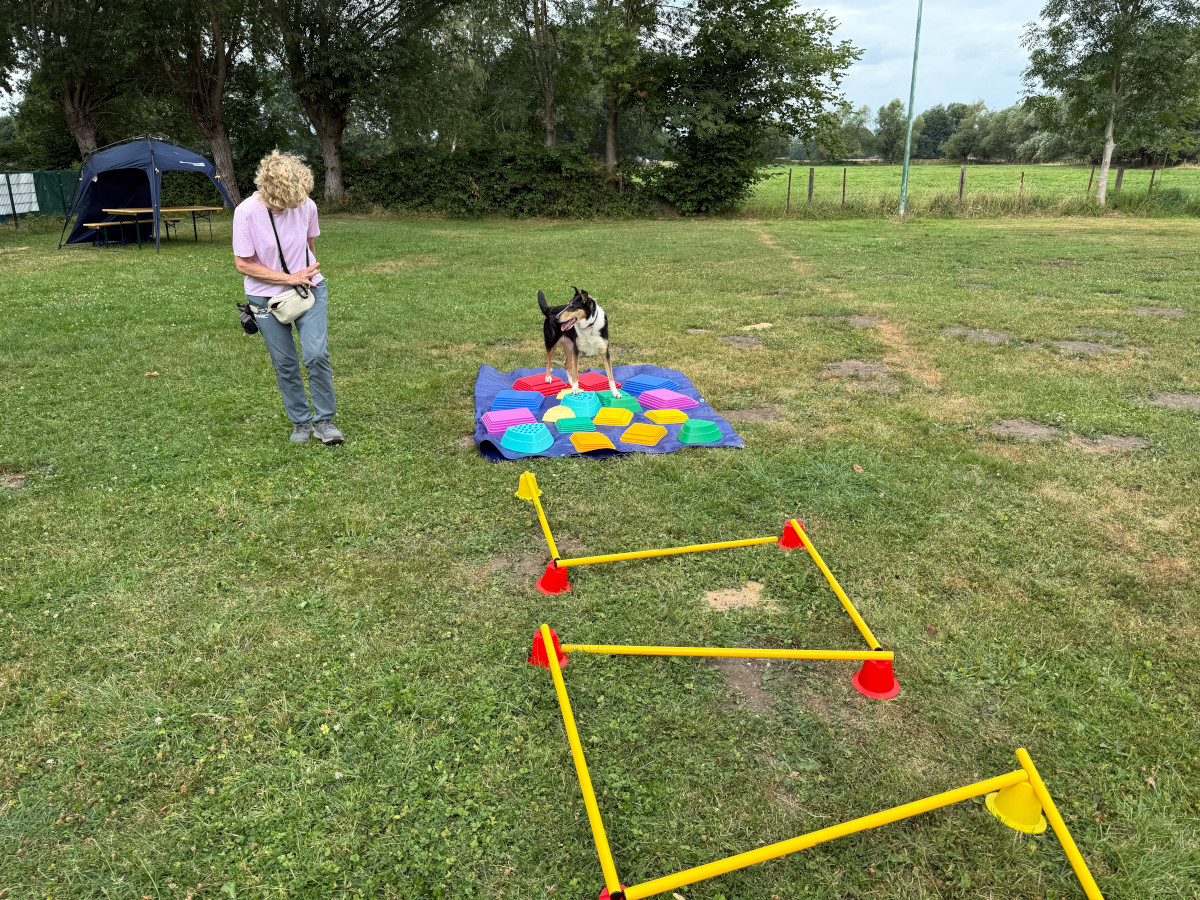 Sommerfest26_027.jpg