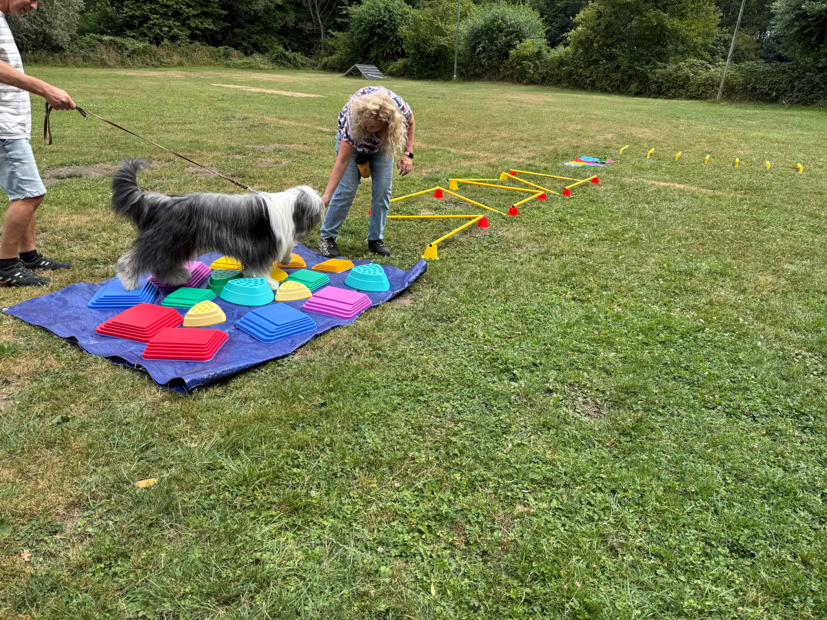 Sommerfest26_034.jpg