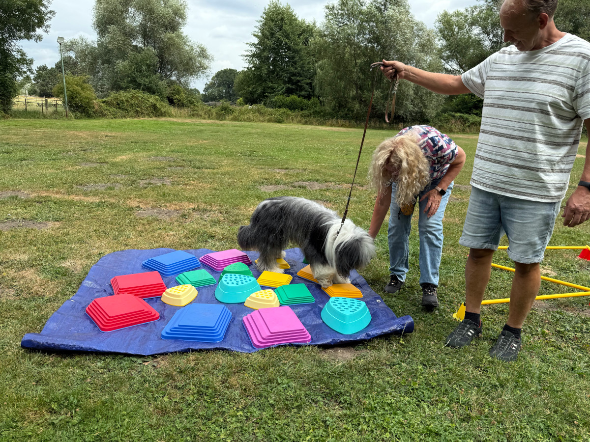 Sommerfest26_035.jpg