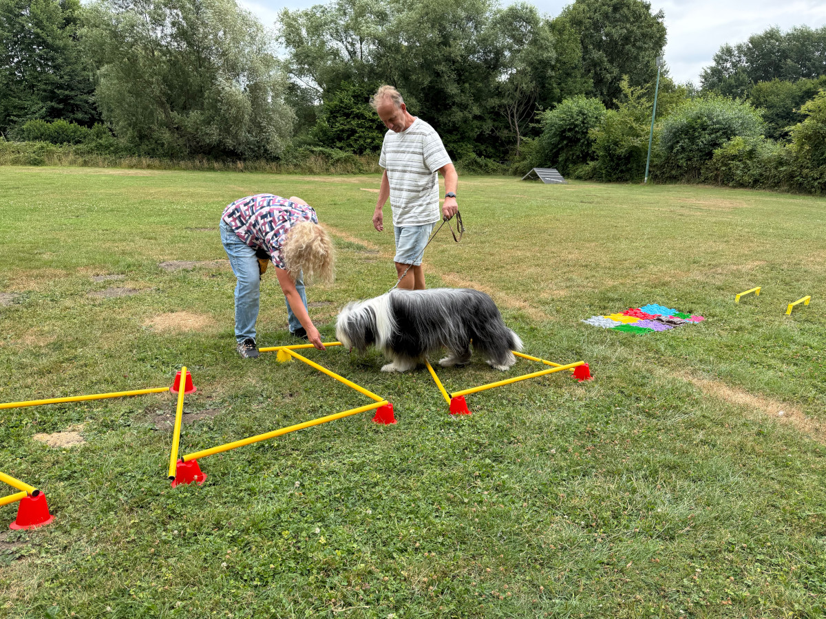 Sommerfest26_036.jpg