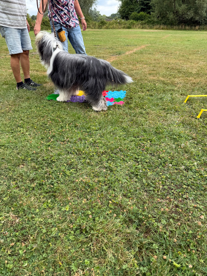 Sommerfest26_038.jpg