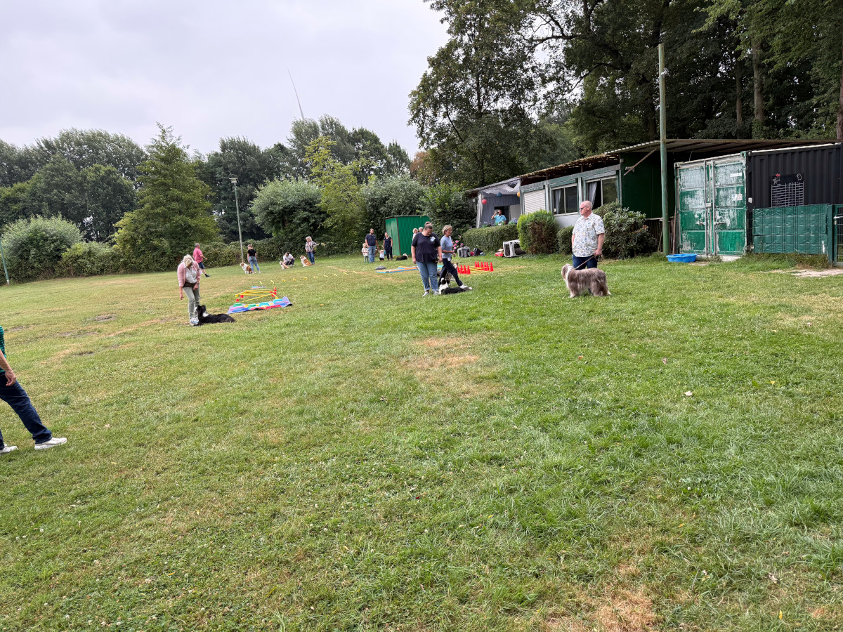 Sommerfest26_039.jpg